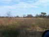 Bottom of Tract 3