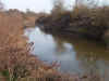 Tehuacana Creek on Tract 4