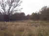 Great Shooting lane Between Tract 4 and 5